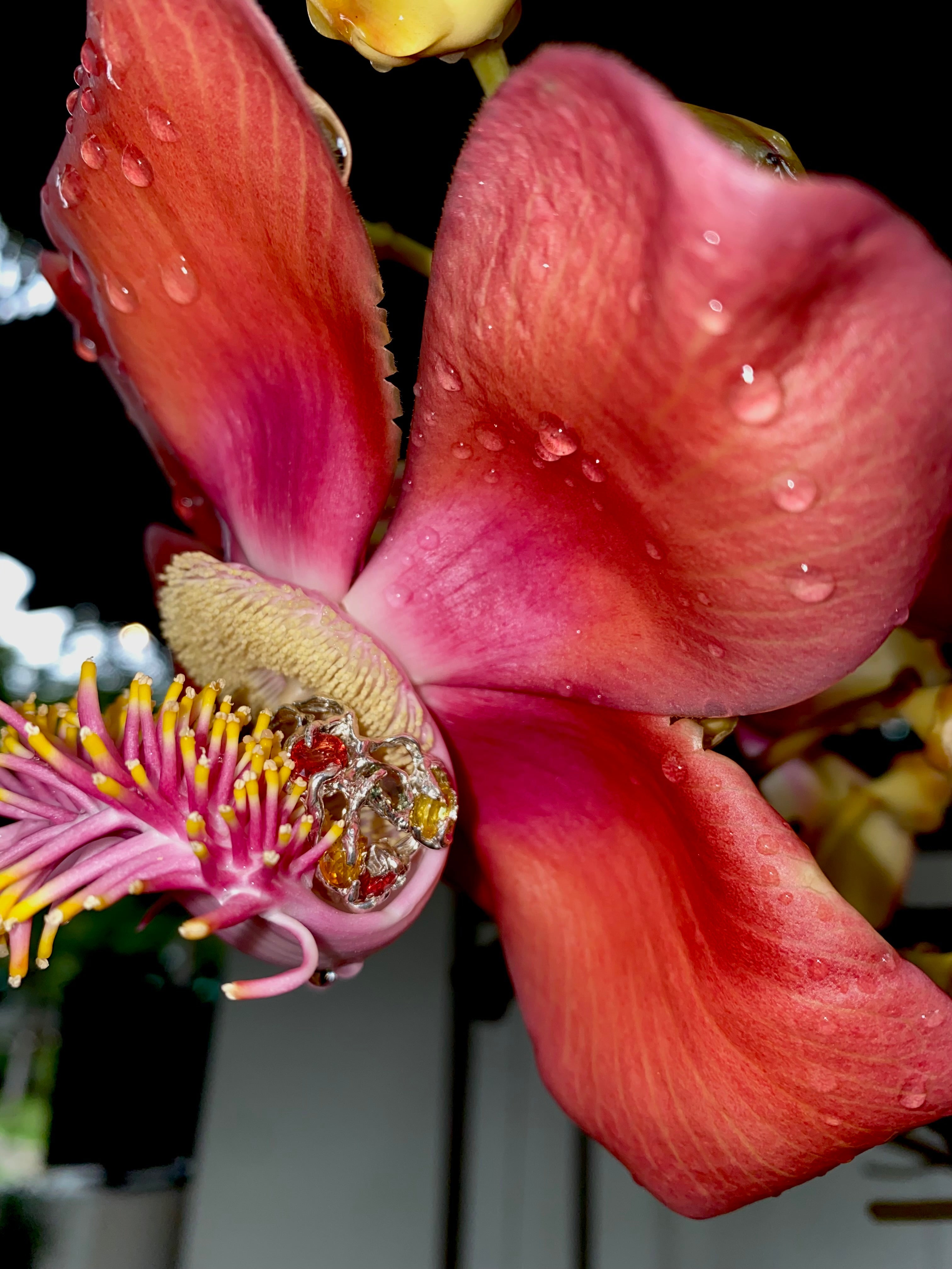 FLOWERS'