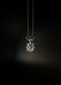 CUSTOMAZING - #18 Capricorn