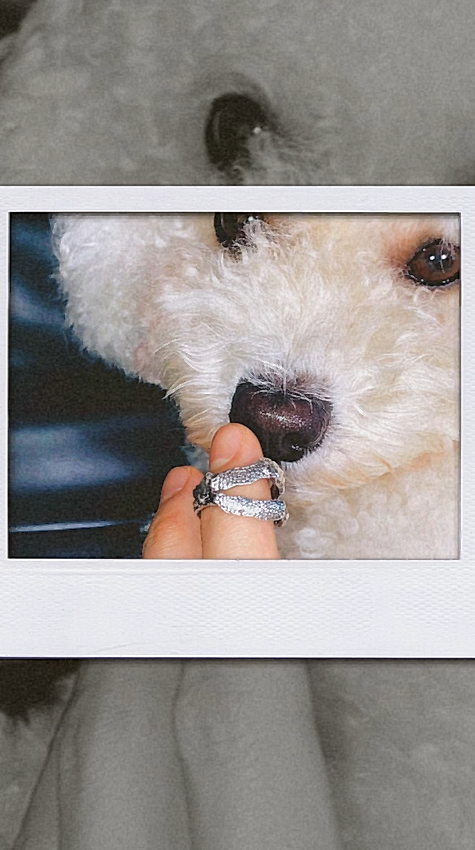 PET'S FRIEND - #02 NOSE'S PRINT