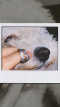 PET'S FRIEND - #02 NOSE'S PRINT