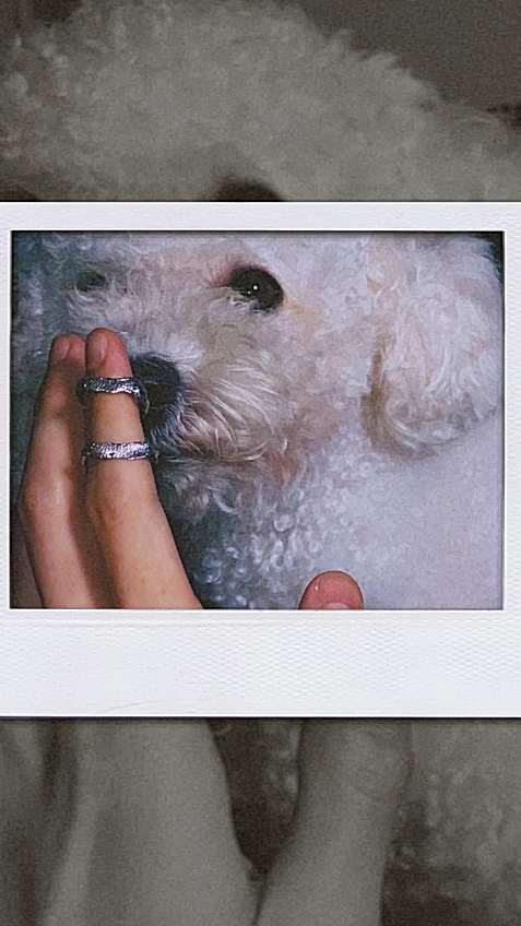 PET'S FRIEND - #02 NOSE'S PRINT